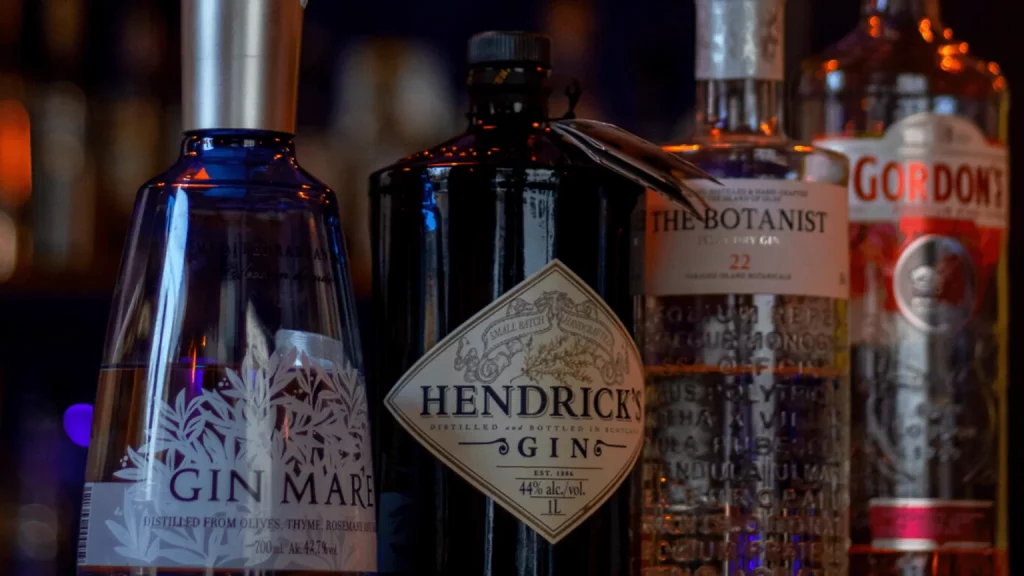 Gin-Tasting-Heidelberg